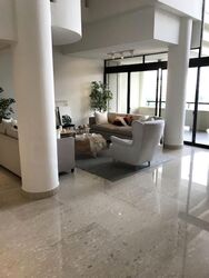 The Colonnade (D10), Condominium #475102261